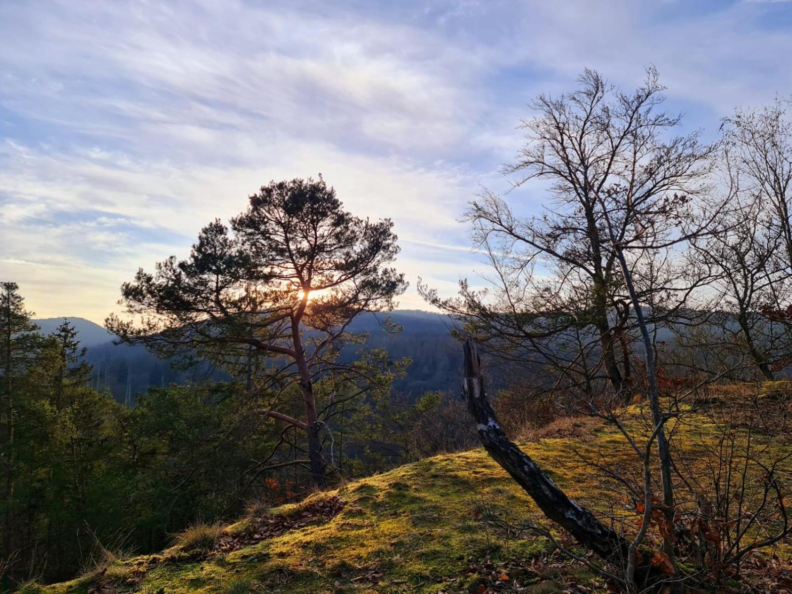 Ferienhaus Schoene Aussicht Ferienwohnung Gelb Hemfurth-Edersee Bagian luar foto